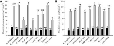 Application of Mycorrhiza and Soil from a Permaculture System Improved Phosphorus Acquisition in Naranjilla